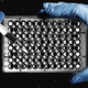 Photo Illustration by Elena Scotti/Gizmodo/GMG, photos via Shuttershock